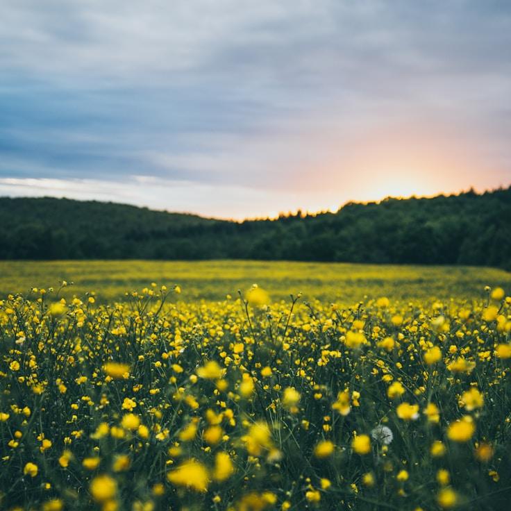 Low-impact nature route