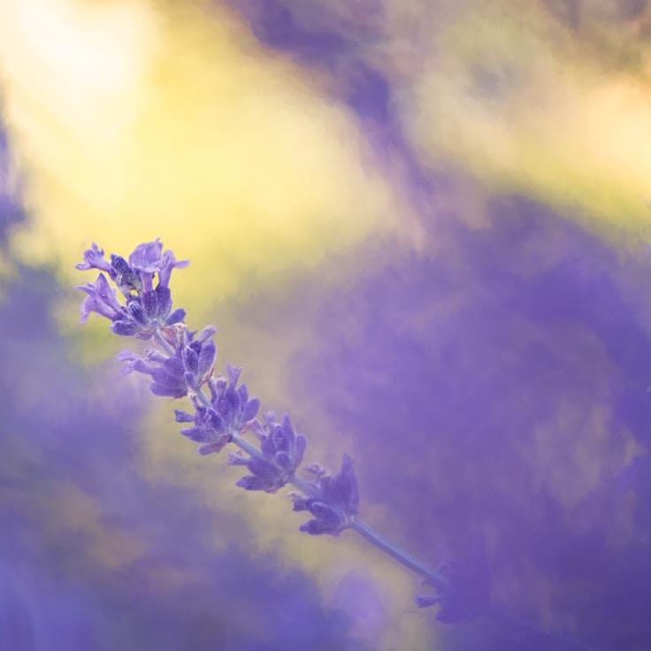 National parks landscape